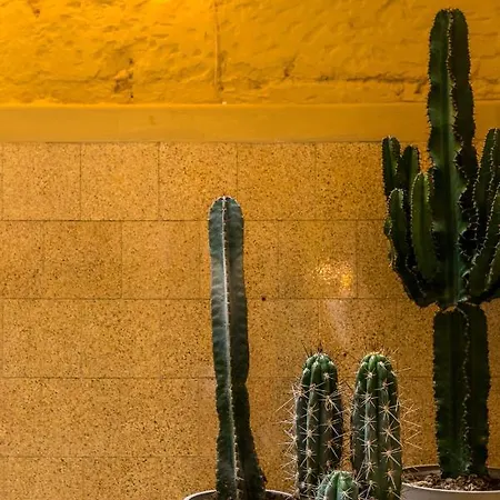Beautiful In The Heart Of Apartamento *